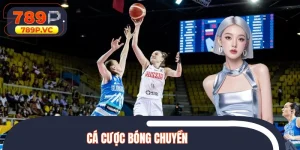 Cá Cược Bóng Chuyền - Luật & Các Loại Kèo Phổ Biến Nhất