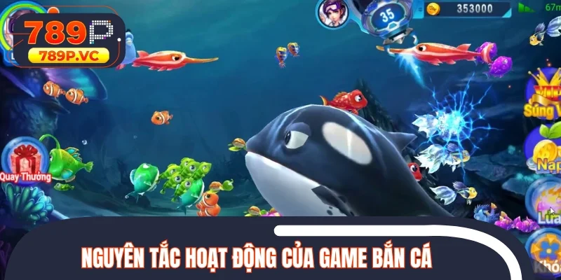 Hiểu về cách hoạt động trước khi áp dụng mẹo bắn cá